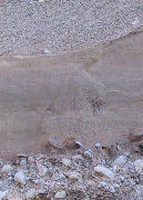 Detalj i Badelunda�sen