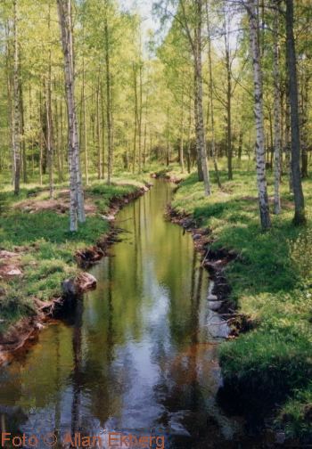 B&auml;cken mot sydost