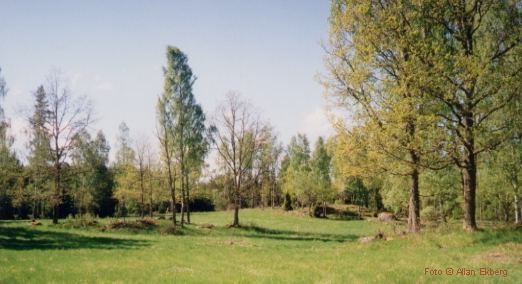 Vacker &auml;ngsmark